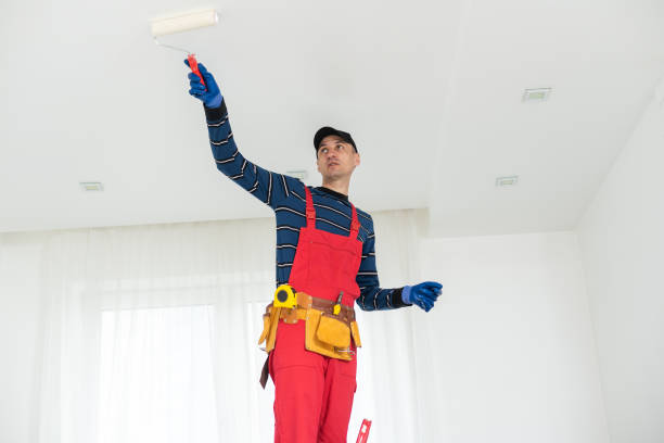 Professional Painting & Drywall Installation in Clover Creek, WA